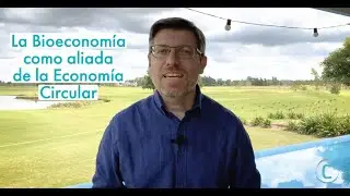 Ideas Sostenibles - La Bioeconom&iacute;a como aliada de la Econom&iacute;a Circular