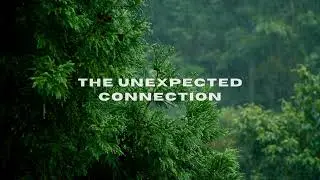 The Unexpected Connection #story