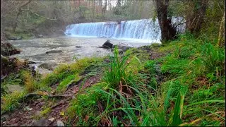 Armoniosa cascada en el río Barbadún, sonidos de la naturaleza, cantos de pájaros.