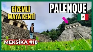 Gizemli Maya Antik Kenti 🇲🇽 PALENQUE (Meksika 18. Bölüm)