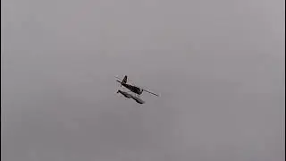 Petry relaxing flying off water flight #2