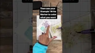 Card making tip for adding additional colors to your stamp! #shorts #cardmaking