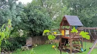 Real Rain Shower - 20 Minute Relaxing Rain in 4k