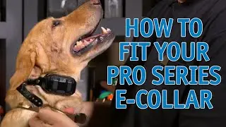 How to Fit Your Garmin PRO Series E-Collar on Your Dog