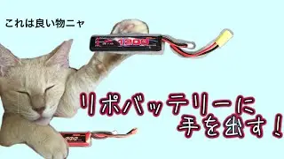 ［激安！］リポバッテリーに手を出す！ ［Kypom(キーポン)］