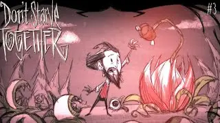 Я вернулся в этот мир, но теперь я паук! Don't Starve Together