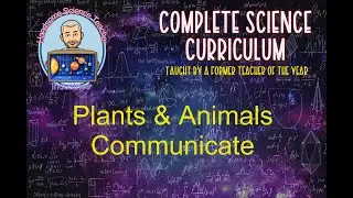 Plants And Animals Communicate