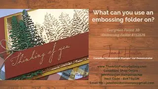 Make it Marvelous Monday - Evergreen Forest 3D Embossing Folder #153576