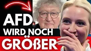 AFD scheint unaufhaltsam❗️Werner Patzelt zerlegt gescheiterte Brandmauer❗️