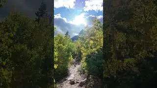 Just vibing among the aspens #estespark #rmnp #hiking #outdoors #edm