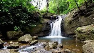 💤 12 Hours of Continuous Waterfall Sounds | Live Nature