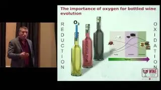 Dr. St&eacute;phane Vidal - Oxygen in Wine From Theory To Practice