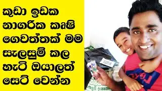 Home garden Cultivation in Sri Lanka How to start an Urban home garden