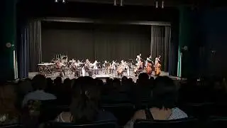 DRHS Chamber Orchestra 25 - Allegretto from Symphony No. 5 Op. 47