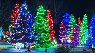 ￼ Weekend, Vlog ￼ spruce Meadows  Christmas 🎄 lights.