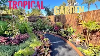 Tropical Plant Oasis：Where Garden Meets Store! ｜Auckland