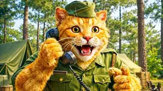Majnu bhai going to battel ground war for his country😱 #ai 