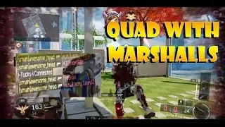 QUAD FEED WITH MARSHALL 16's