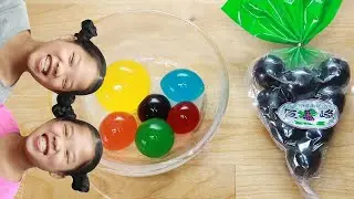 쿄호젤리 무지개젤리 KYOHO Jelly 巨峰ゼリー TwinRoozi Family 쌍둥이루지 가족 먹방 Mukbang VAN ASMR