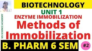 Methods of Immobilization-Enzyme immobilization-Biotechnology-Unit 1-B Pharm 6 Sem-Lect. 02