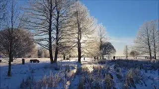 Finally winter after a snowless Christmas, Franz Schubert, Impromptu 2, Artur Schnabel