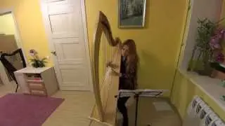 Кельтская арфа - The Witcher 3 - Priscilla's Song -Harp Cover (кавер из на музыку из игры)