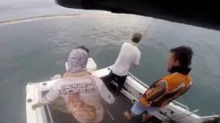 Game fishing Mackerel, Kalbarri Western Australia 2016