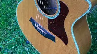 Taylor 614ce Acoustic Guitar 2001