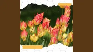 Background for January Mental Health