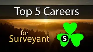 Five Careers for Surveyant Personality Types on Tara&rsquo;s Triangle