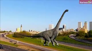 Fun Facts about Astrodon Dinosaurs