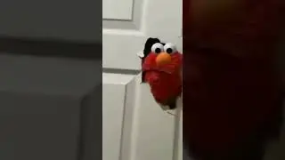 Elmo Smashes Door