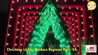 The Holiday Walk Of Lights | Neabsco Regional Park | Neabsco Greek Boardwalk | Moon Girl
