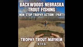 Backwoods Nebraska Trout Fishing Non‑Stop Trophy Action!