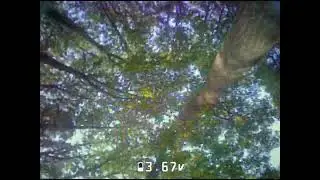 IGOW 5 Week 3