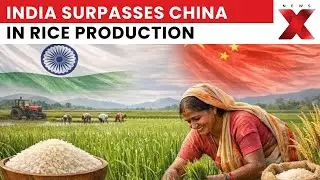 How India Surpassed China With 150 Million Tonnes Rice Production?