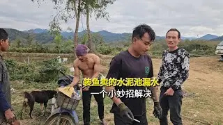 装鱼卖的水泥池漏水，一个小妙招解决