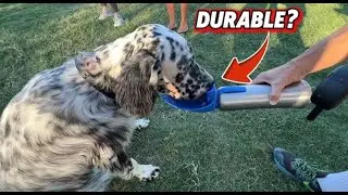 The BEST Dog Water Bottle for Travel & Outdoor Adventures