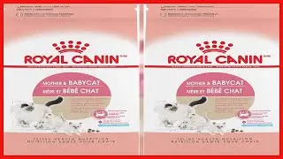 Royal Canin Feline Health Nutrition Mother & Babycat Dry Cat Food