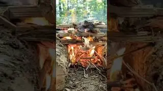 Cooking steak over open fire #bushcraft #fire #camping
