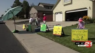 Young Redmond resident hosting lemonade stand for house fire victims