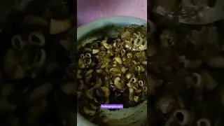 Spicy Gongura Pasta Curry | Pasta Curry Preparation | Indian Fusion Andhra style #food #cooking