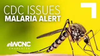 Florida issues statewide health advisory after 4 locally contract malaria