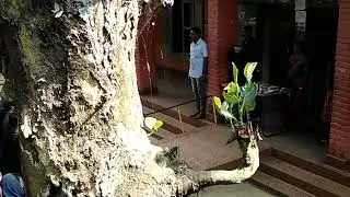 സ്കൂൾ പ്രഭാത ഗീതം*school opening Song