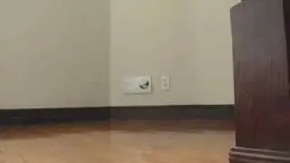 Emergency Power Failure Light Egress Lighting Video