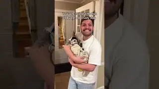 #dog #short Eloise does NOT like babies ☹️🐾 @hellomynamesjon #dogsoftiktok #dog