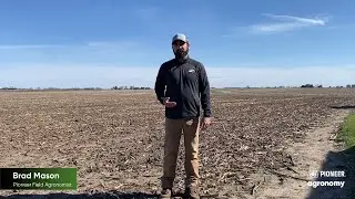 Corn or Soybeans. Which Crop Should You Plant First?