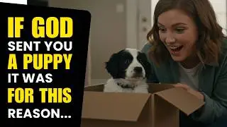 Why God Sent You a Puppy - The Truth Will Touch Your Soul