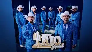 🎶BIEN 🐦JILGUEROS🍻 MIX 🪾NORTE&Ntilde;O🎷 SAX 👹🍾