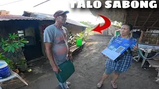 ALOK